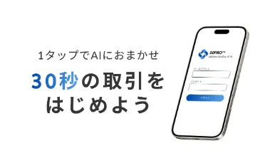 30PROの投資について