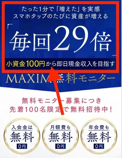 MAXIMの投資について