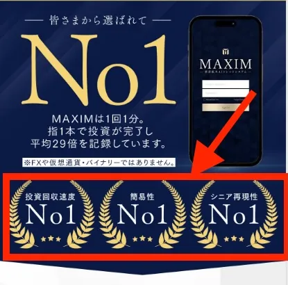 MAXIMの投資について