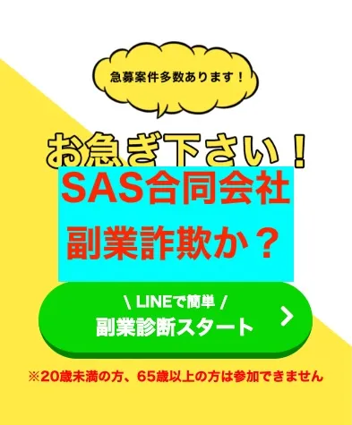 SAS合同会社の副業について