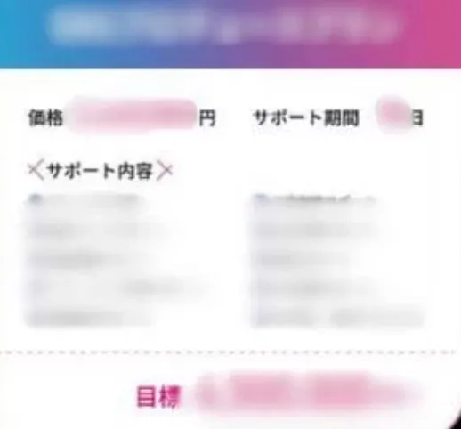 株式会社TOPの副業のサポートプラン