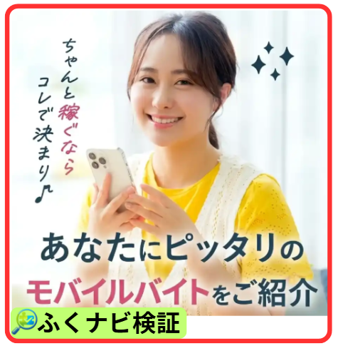 NOVA STRATEGY PTE. LTD.の副業とは？