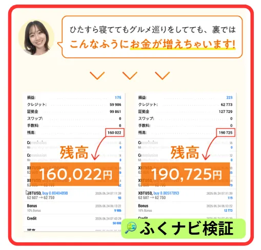 秘密の投資法の残高画像